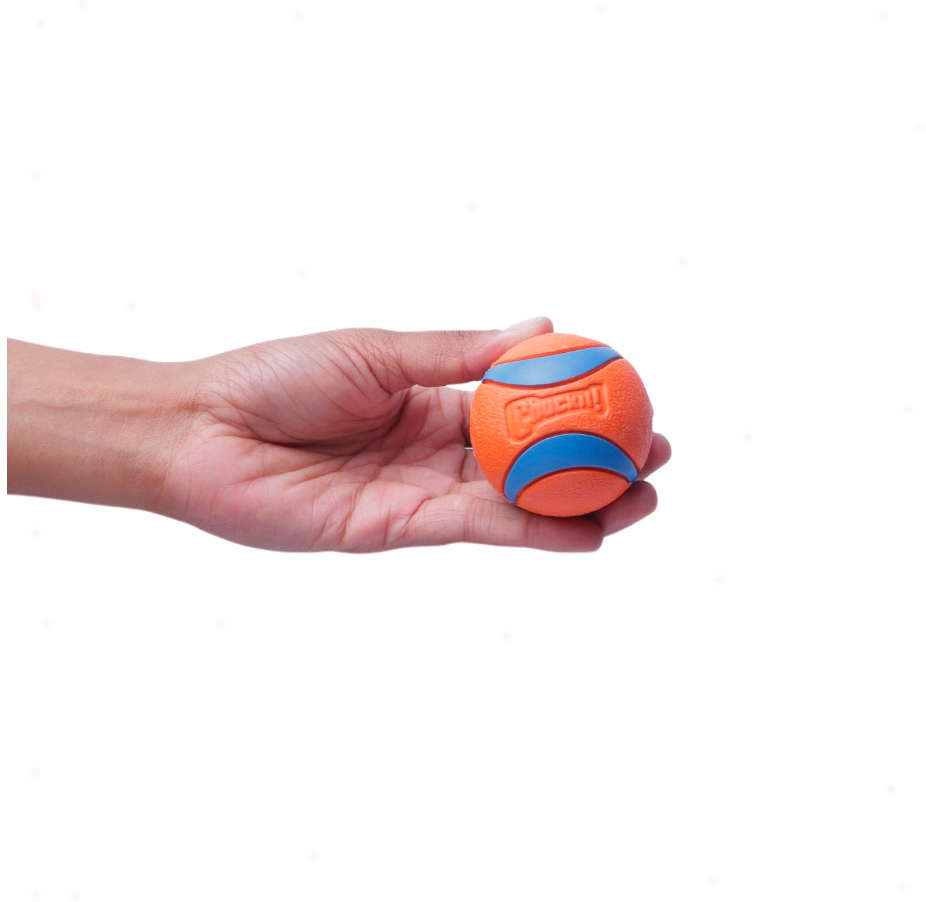 Brinquedo Chuckit Bola Ultra Ball 2 Unidades - Tam. M