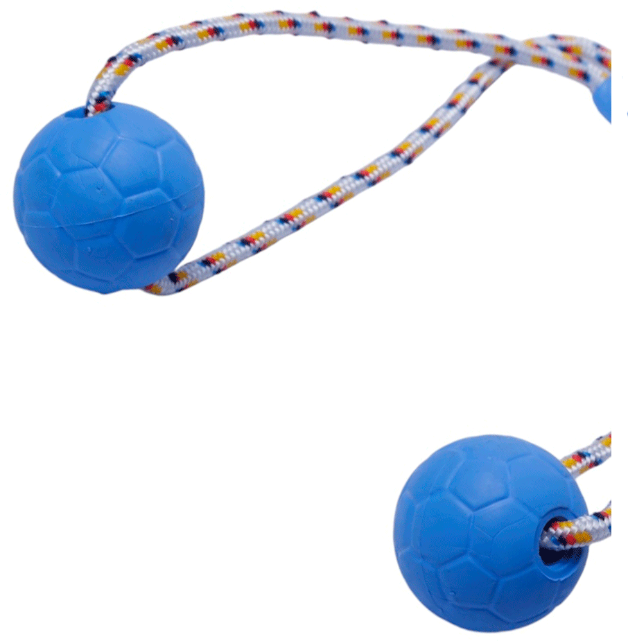 Brinquedo Duo Ball Divercão Azul - Tam. M