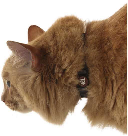 Coleira Toh U Eclipse para Gatos - Tam. Único