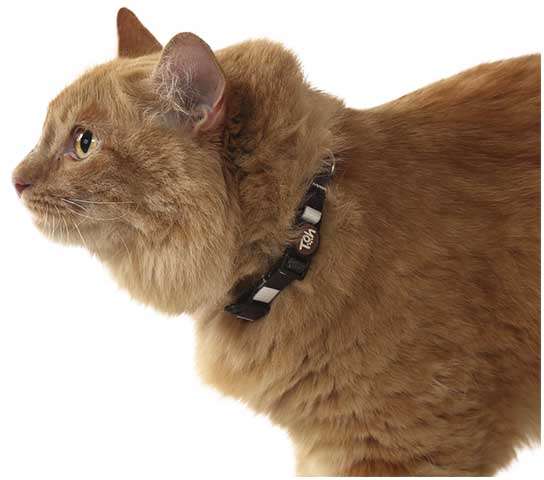 Coleira Toh U Eclipse para Gatos - Tam. Único