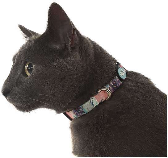 Coleira Toh U Laguna para Gatos - Tam. Único