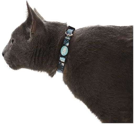 Coleira Toh U Noronha para Gatos - Tam. Único