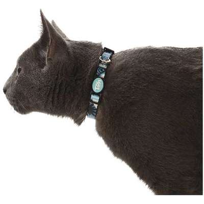Coleira Toh U Noronha para Gatos