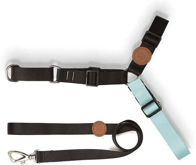 Conjunto Peitoral Antipuxão e Guia Outdoor Black - Tam. G
