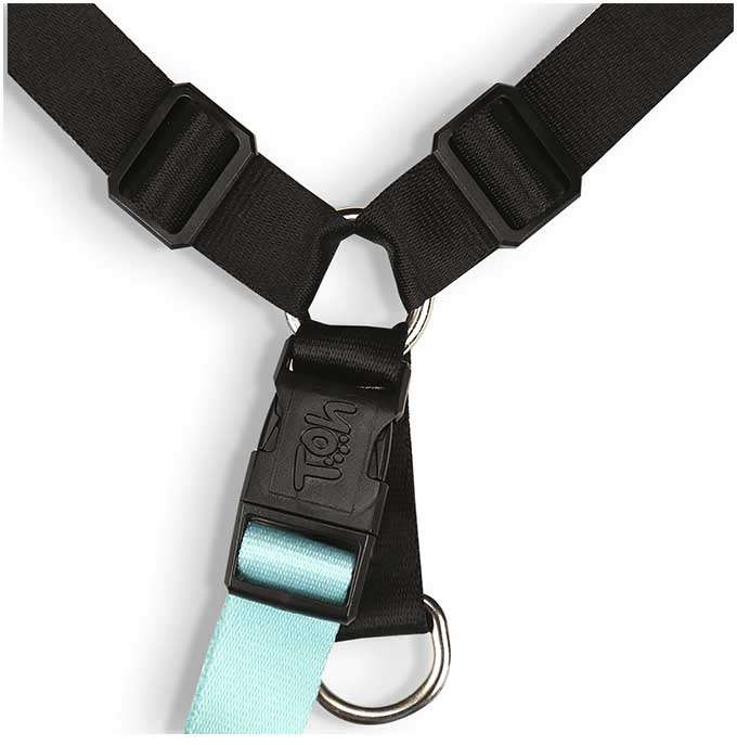 Conjunto Peitoral Antipuxão e Guia Outdoor Black - Tam. G