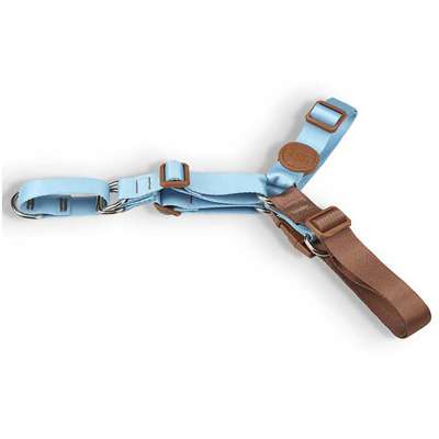 Conjunto Peitoral Antipuxão e Guia Azul