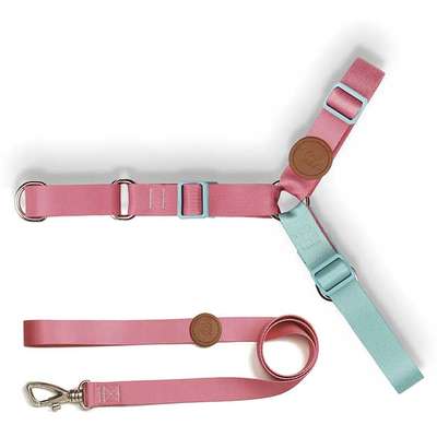 Conjunto Peitoral Antipuxão e Guia Outdoor Fiji