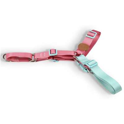 Conjunto Peitoral Antipuxão e Guia Outdoor Fiji