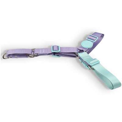Conjunto Peitoral Antipuxão e Guia Lilás