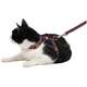 Conjunto Peitoral H Neo U Bordo Caqui para Gatos