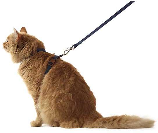 Conjunto Peitoral H Neo U Marinho Caqui para Gatos - Tam. Único