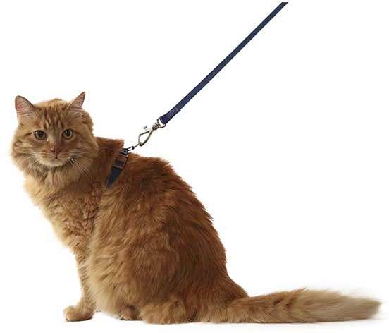 Conjunto Peitoral H Neo U Marinho Caqui para Gatos - Tam. Único