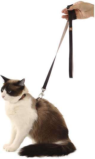 Conjunto Peitoral H Neo U Preto Caqui para Gatos - Tam. Único