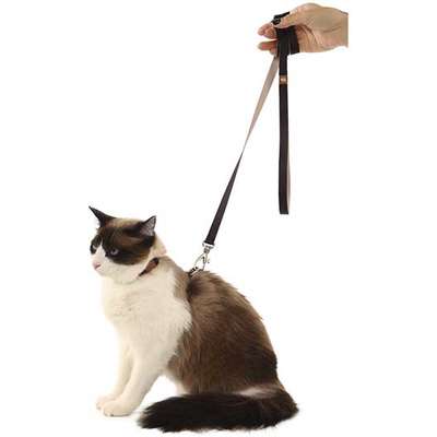 Conjunto Peitoral H Neo U Preto Caqui para Gatos