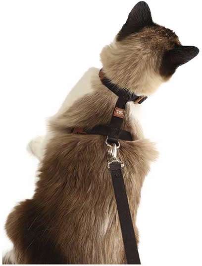 Conjunto Peitoral H Neo U Preto Caqui para Gatos - Tam. Único