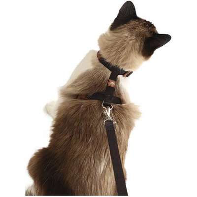 Conjunto Peitoral H Neo U Preto Caqui para Gatos