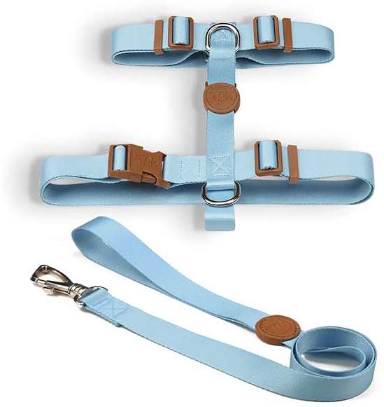 Conjunto Peitoral H e Guia Azul - Tam. P