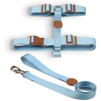 Conjunto Peitoral H e Guia Azul
