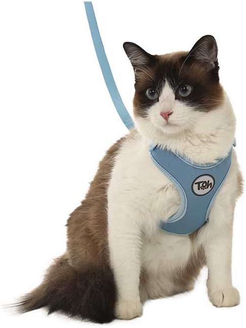 Conjunto Peitoral H Neo U Azul para Gatos - Tam. Único
