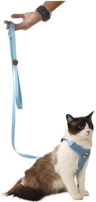 Conjunto Peitoral H Neo U Azul para Gatos - Tam. Único
