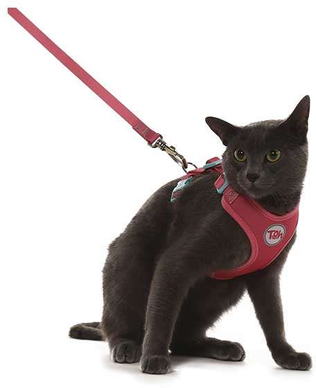 Conjunto Peitoral H Toh Neo Gato U e Guia Fiji - Tam. Único