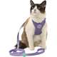 Conjunto Peitoral H Neo U Lilás para Gatos