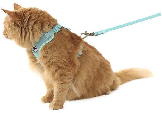 Conjunto Peitoral H Toh Neo Gato U e Guia Maresia - Tam. Único
