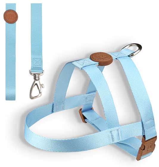 Conjunto Peitoral Tradicional e Guia Azul - Tam. M