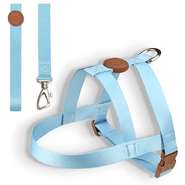 Conjunto Peitoral Tradicional e Guia Azul - Tam. M