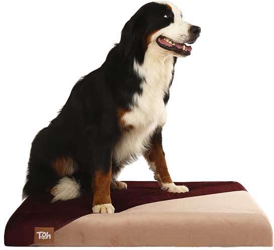 Almofada Futon Malbec - Tam. M