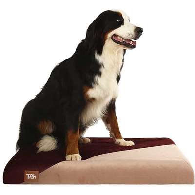 Almofada Futon Malbec