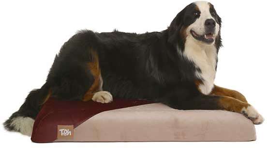 Almofada Futon Malbec - Tam. M