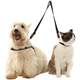Guia Dupla Outdoor Black