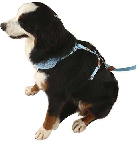 Peitoral Mesh H Azul - Tam. M
