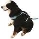 Peitoral Mesh H Azul