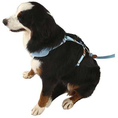 Peitoral Mesh H Azul