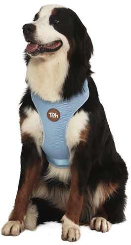 Peitoral Mesh H Azul - Tam. M