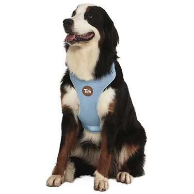 Peitoral Mesh H Azul