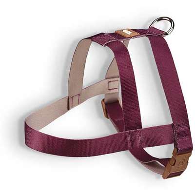 Peitoral Tradicional Pop Bordo Caqui
