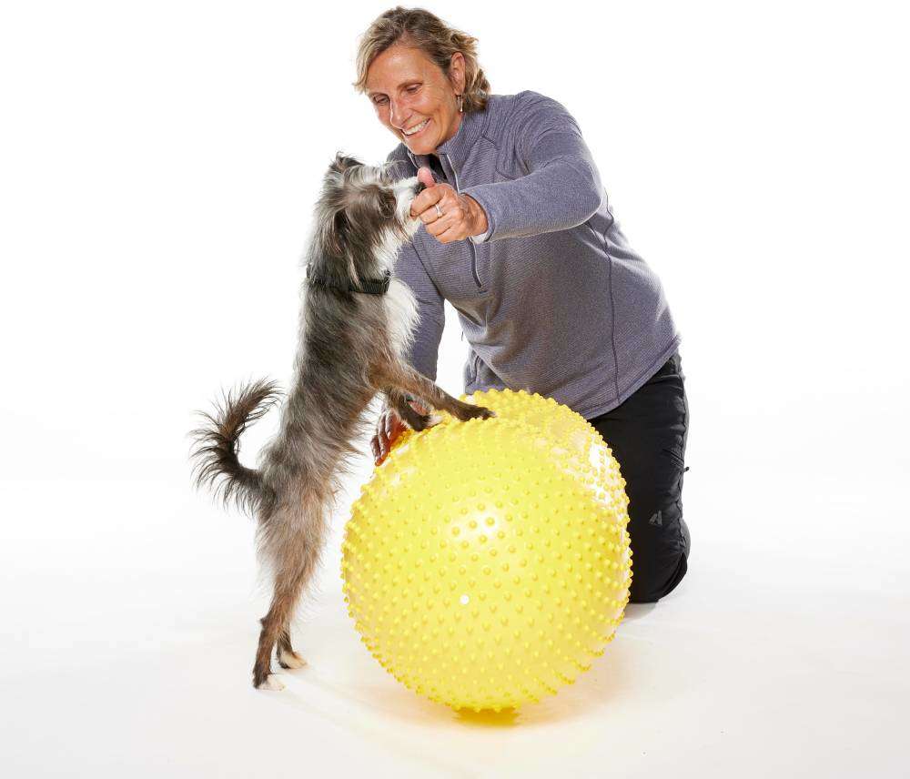 Bola Peanut Inflável FitPAWS® TRAX Para Cães - Tam. Único