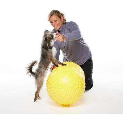 Bola Peanut Inflável FitPAWS® TRAX Para Cães