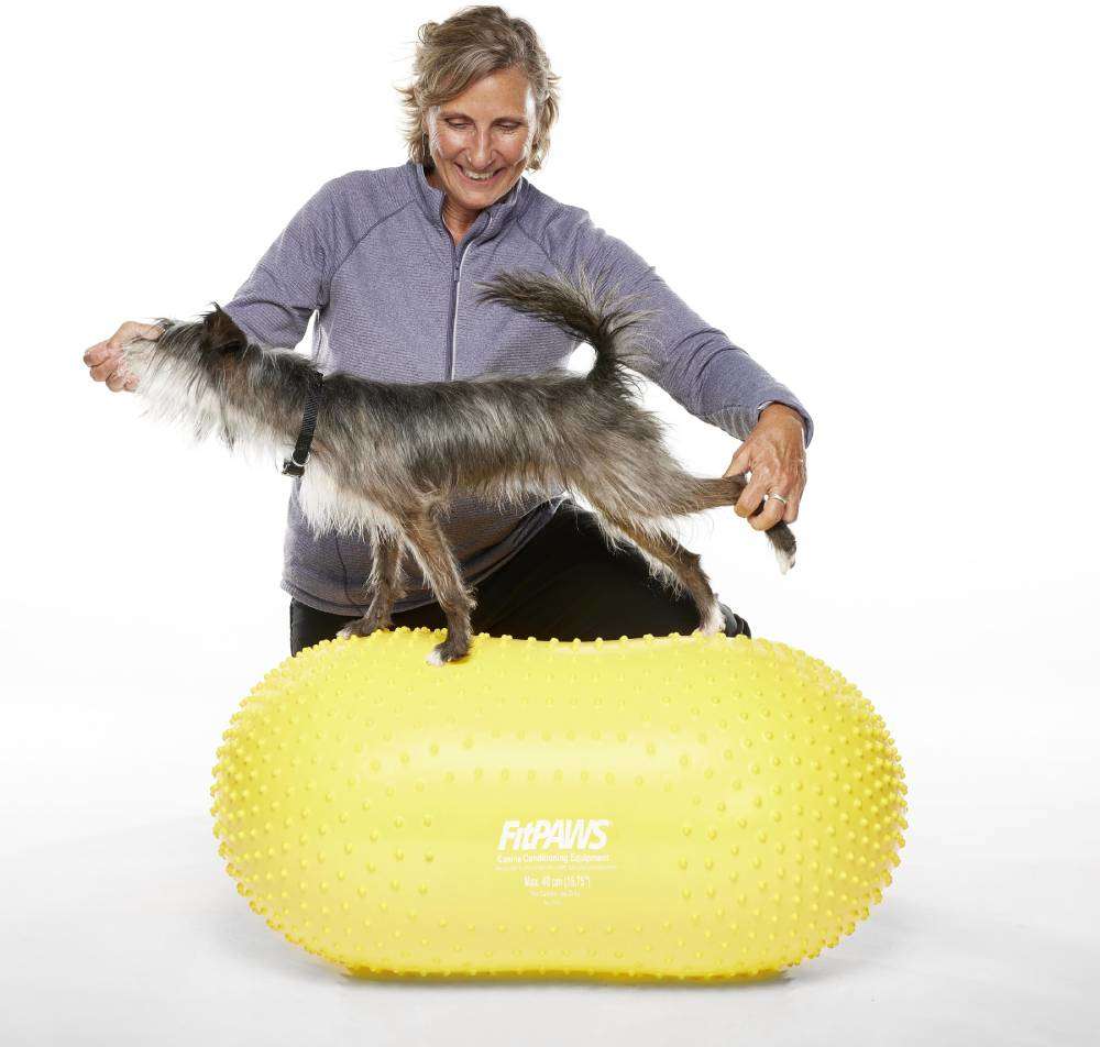 Bola Peanut Inflável FitPAWS® TRAX Para Cães - Tam. Único