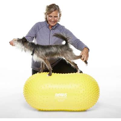 Bola Peanut Inflável FitPAWS® TRAX Para Cães