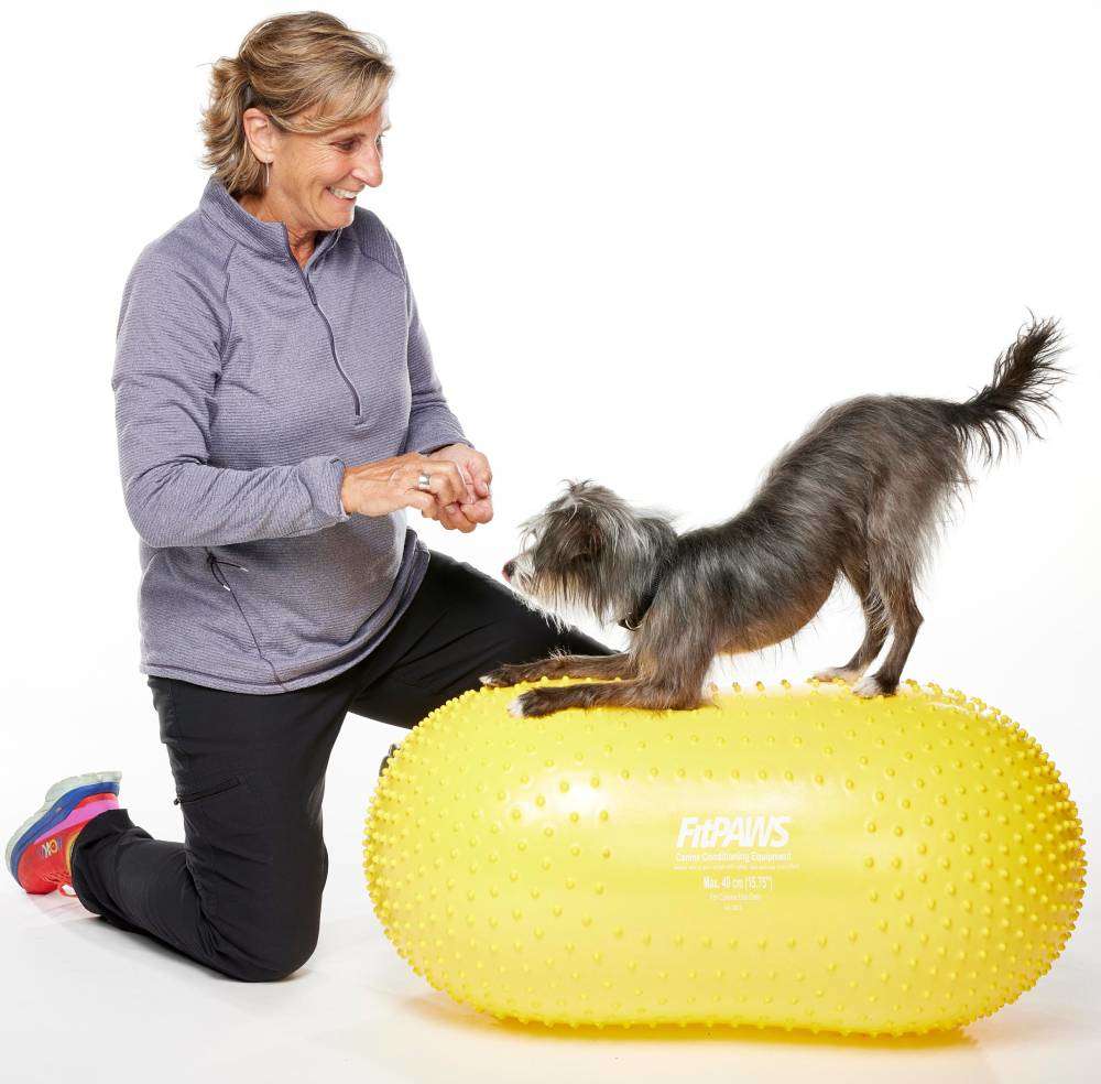 Bola Peanut Inflável FitPAWS® TRAX Para Cães - Tam. Único