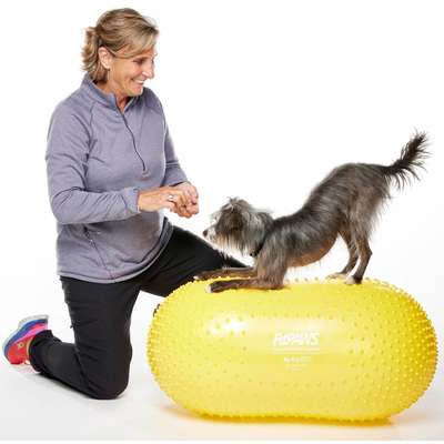 Bola Peanut Inflável FitPAWS® TRAX Para Cães
