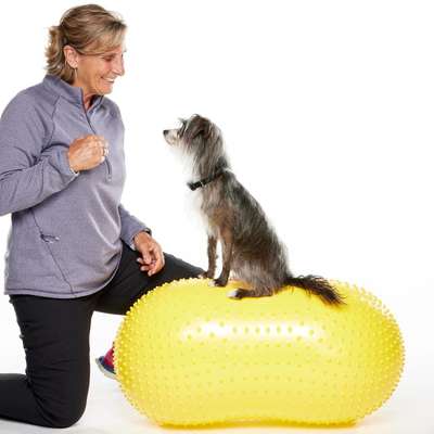 Bola Peanut Inflável FitPAWS® TRAX Para Cães