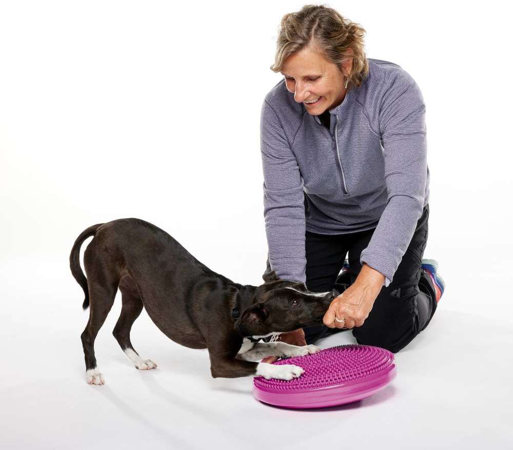 Disco de Equilíbrio Inflável FitPAWS® Para Cães - Tam. M