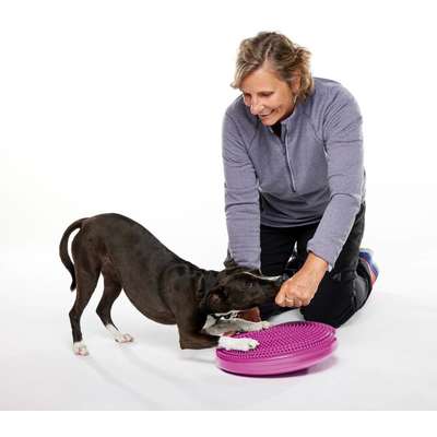 Disco de Equilíbrio Inflável FitPAWS® Para Cães