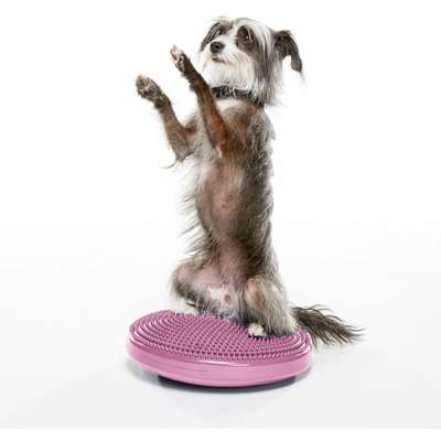 Disco de Equilíbrio Inflável FitPAWS® Para Cães