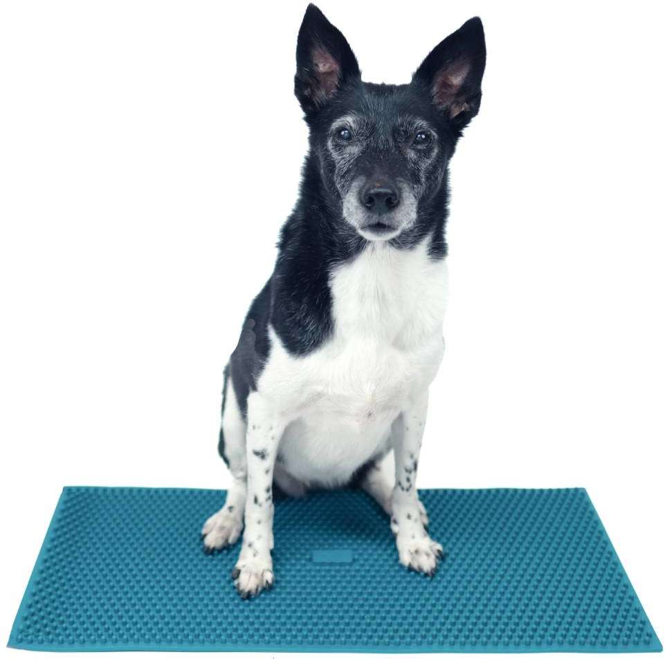 Tapete de Propriocepção FitPAWS® K9FitMat Para Cães - Tam. Único